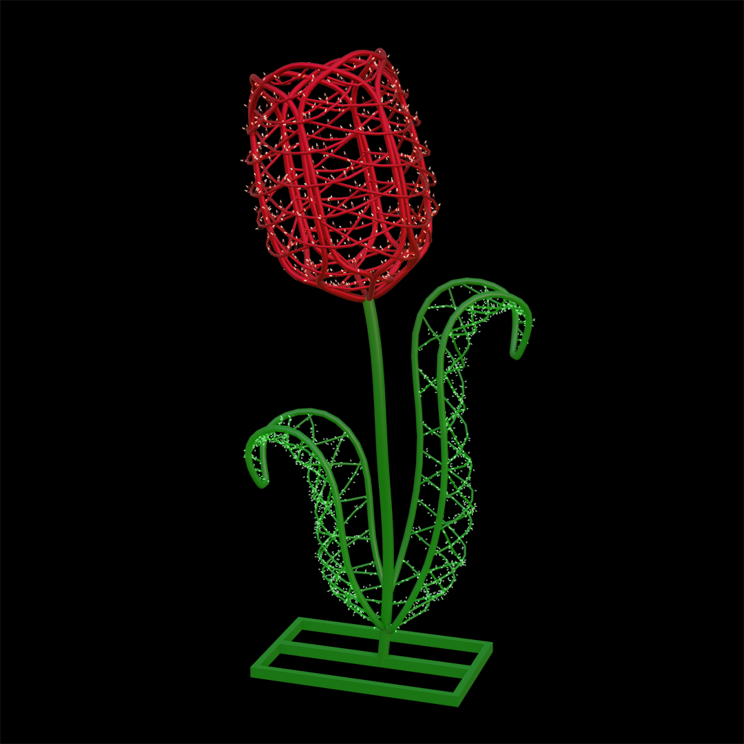 Tulip Flower