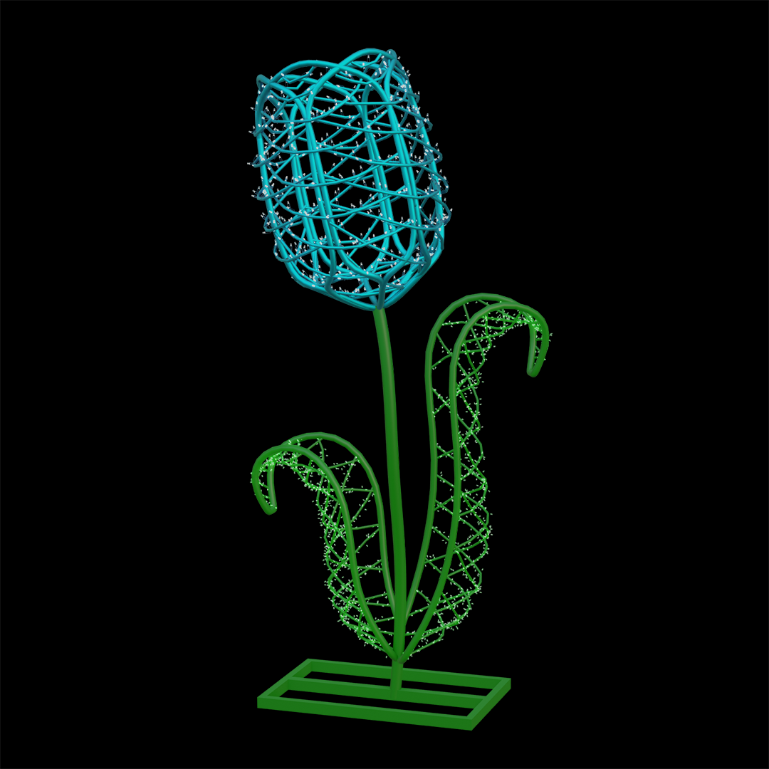 Tulip Flower